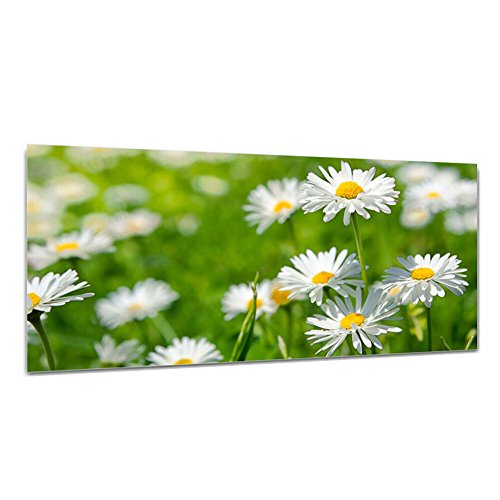 DEKOGLAS Glasbild 'Gänseblümchen' Echtglas Bild Küche, Wandbild Flur Bilder Wohnzimmer Wanddeko, einteilig 125x50 cm von DekoGlas