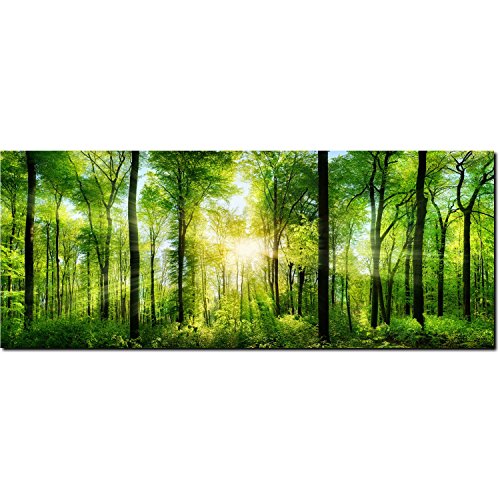 DEKOGLAS Glasbild aus Echtglas | Motiv Wald Bäume | einteilig | Maße 125x50 cm | Verschiedene Motive im Digitaldruck | Wanddeko für Flur, Küche, Wohnzimmer & Büro von DEKOGLAS