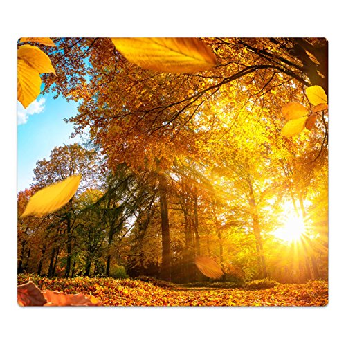 DekoGlas Herdabdeckplatte inkl. Noppen 'Goldener Herbst', gehärtetes Glas, Herd Ceranfeld Abdeckung, einteilig universal 52x60 cm von DekoGlas