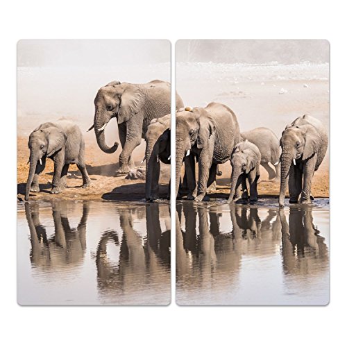 DekoGlas Herdabdeckplatten Set inkl. Noppen aus Glas 'Elefanten-Familie', Herd Ceranfeld Abdeckung, 2-teilig universal 2X 52x30 cm von DekoGlas