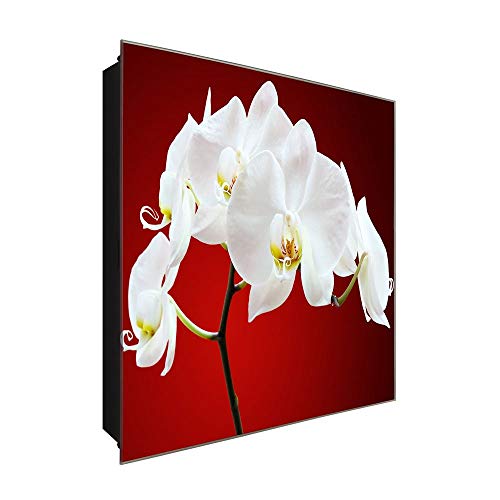 DekoGlas Schlüsselkasten 'Red Orchidee' 30x30 Glas, inkl. Haken Schlüsselbrett Schlüssel-Box Design Aufbewahrung von DekoGlas