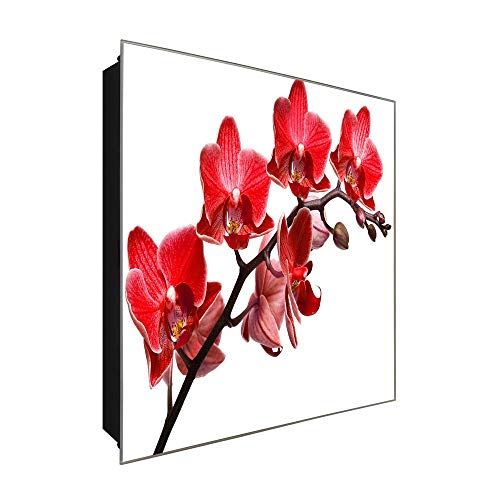 DekoGlas Schlüsselkasten 'Rote Orchideen' 30x30 Glas, inkl. Haken Schlüsselbrett Schlüssel-Box Design Aufbewahrung von DekoGlas