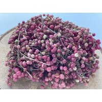 Pfefferkörner 50 G Pepperberries Trockenfrüchte Dekoration Advent Weihnachten von DekoManufakturDE