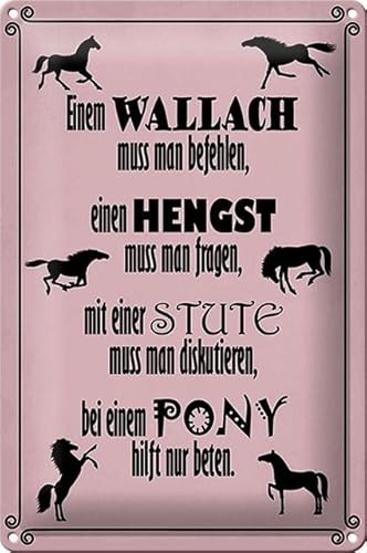 DekoNo7 Blechschild 30 x 20 cm Einem Wallach muss Man befehlen, einen Hengst muss Man Fragen, mit Einer Stute muss Man diskutieren, bei einem Pony hilft nur beten - Pferde Schild von DekoNo7