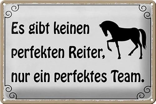 DekoNo7 Blechschild 30 x 20 cm Es gibt keinen perfekten Reiter, nur EIN perfektes Team - Pferde Schild von DekoNo7