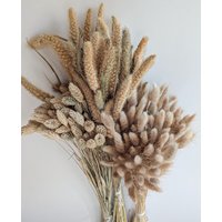 Trockenblumen Diy Phalaris Lagurus Bundle Großpackung Natur Set - Dekopanda von DekoPandaShop