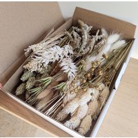 Trockenblumen Frühling Diy Mix Blumenbox Natur Weiß Für Kreative Projekte - Dekopanda von DekoPandaShop