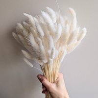 Trockenblumen Lagurus Bund Großpackung Weiß Diy Set - Dekopanda von DekoPandaShop