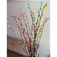 Trockenblumen Weidenkätzchen Konserviert Bunte Auswahl - Dekopanda von DekoPandaShop