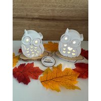 Eule Herbst Deko Beleuchtet Geschenk Herbstdekoration Herbstlicht Handgefertigt Eule Herbst Deko Beleuchtet Geschenk Herbstdekoration Herbstlicht Handgefertigt von DekoTraum44