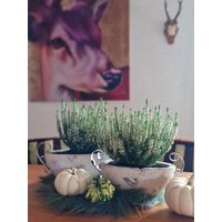 Blumentopf Set 2 Teilig Aus Keramik Pflanzschale Pflanzkübel Schale Topf Garten Terrasse Blumen Fensterdeko Grabdeko Allerheiligen von DekoWohlfuehlen
