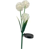 Solarlampe Allium Led Außen Gartendeko 3 Blüten Weiß Gartenstecker Solar Blumenstecker Beleuchtung Deko Garten Balkon Terrasse Wetterfest von DekoWohlfuehlen