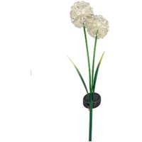 Solarlampe Allium Led Außen Gartendeko 2 Blüten Weiß Gartenstecker Solar Blumenstecker Beleuchtung Deko Garten Balkon Terrasse Wetterfest von DekoWohlfuehlen