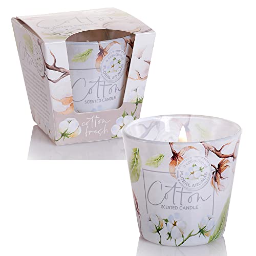 Dekohelden24 Duftkerze - Windlicht - Kerze im Glas - als 2er Set - Duftrichtung Cotton, L/B/H 8 x 8 x 8 cm, 115g je Kerze, Weiß Dekohelden24 Duftkerze - Windlicht - Kerze im Glas - als 2er Set - Duftrichtung Cotton, L/B/H 8 x 8 x 8 cm, 115g je Kerze, Weiß von Dekohelden24