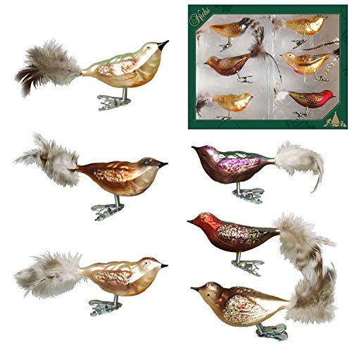 Dekohelden24 Lauschaer Christbaumschmuck - 6er Set Multicolor Waldvögel auf Clip, ca. 11 cm. Dekohelden24 Lauschaer Christbaumschmuck - 6er Set Multicolor Waldvögel auf Clip, ca. 11 cm. von Dekohelden24