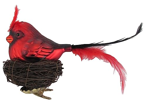 Lauschaer Christbaumschmuck - Glasvogel mit Nest aus Zweigen auf Clip, Rot, mit Schwanzfeder, Größe ca. 9 cm von Dekohelden24