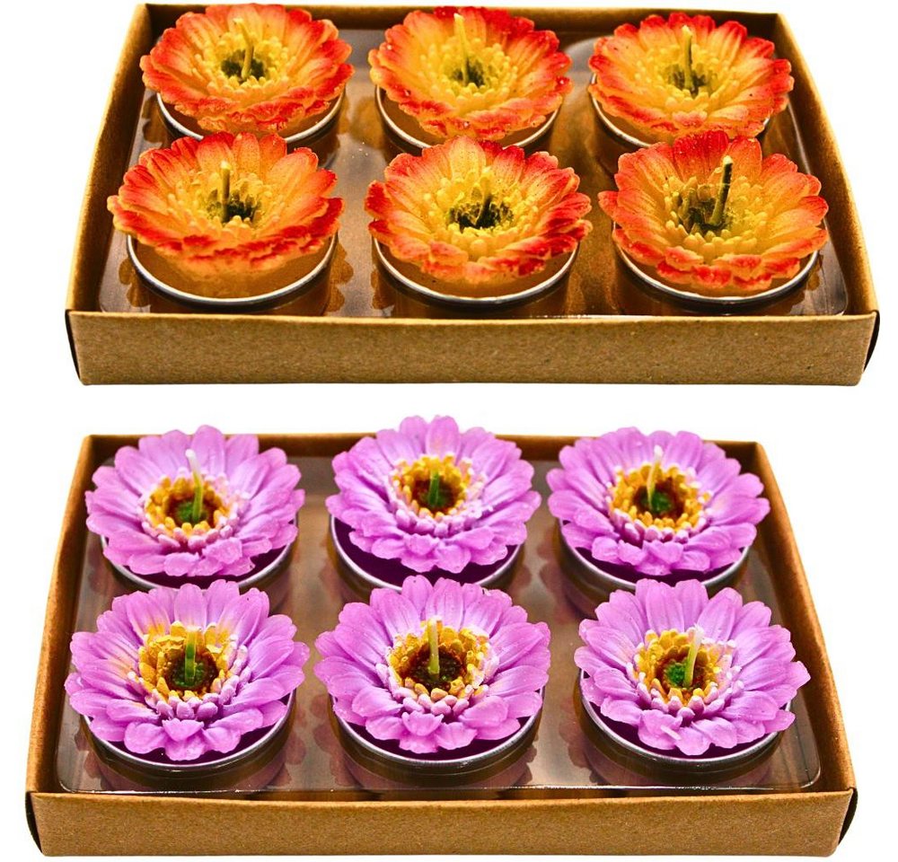 Dekohelden24 Teelicht 12er Set Teelicht in Form einer Gerbera,Tischkerze, Gerberakerze Dekohelden24 Teelicht 12er Set Teelicht in Form einer Gerbera,Tischkerze, Gerberakerze von Dekohelden24