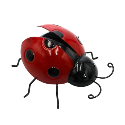 Dekohelden24 Metall Marienkäfer mit Magnet in rot/Kühlschrankmagnet, Größe: L/B/H ca. 9,5 x 9,5 x 4,5 cm Dekohelden24 Metall Marienkäfer mit Magnet in rot/Kühlschrankmagnet, Größe: L/B/H ca. 9,5 x 9,5 x 4,5 cm von Dekohelden24
