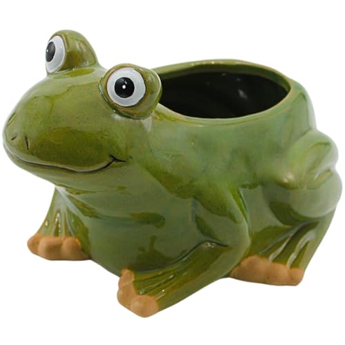 Übertopf - Pflanztopf - Pflanzgefäß - Dekoschale aus Keramik, Motiv: Frosch, Maße L/B/H: ca. 22,5 x 17 x 14,5 cm von Dekohelden24