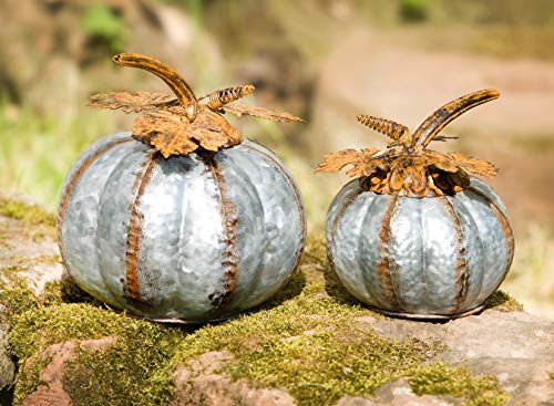 2 Deko-Kürbisse aus Metall, 14 + 19 cm hoch, Silber, Blätter in Rost-Optik, Hallween-Dekoration für Draußen, Hallweendeko, Herbst-Dekoration für Wohnzimmer, Haustür, Balkon & Terrasse von Dekoleidenschaft