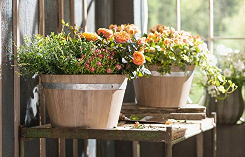 Dekoleidenschaft 2 Pflanzkübel aus Holz mit Metallring, Blumentopf, Pflanzcontainer, Blumentöpfe, Pflanzschale, Pflanztopf, Holzfass, Pflanzgefäß, Garten-Deko für Draußen von Dekoleidenschaft