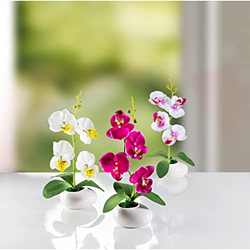 Dekoleidenschaft 3 Orchideen im Keramik-Topf, weiß/pink, 28 cm hoch, Kunstpflanze, Zierpflanze, Büropflanze, Kunstblumen, Deko-Pflanzen von Dekoleidenschaft