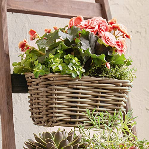 Dekoleidenschaft Rattan Pflanzkasten Koboo Grey klein, grau, Balkonkasten mit Halterung, Balkon-Blumenkasten für Draußen, Pflanzgefäß zum Einhängen am Balkongeländer, Flechtkorb von Dekoleidenschaft