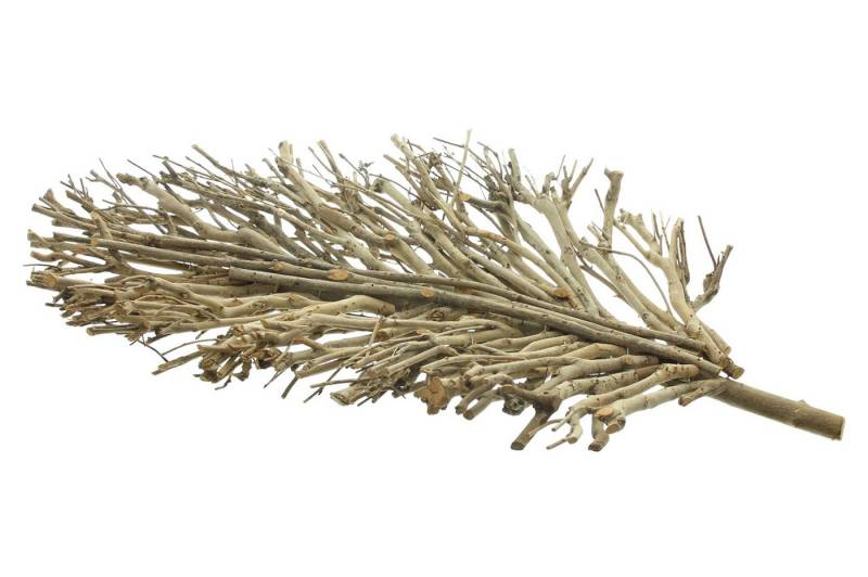 Dekoleidenschaft Dekoschale "Verzweigt" 60 cm lang, Teebaum Zweige, Obstschale, Holzschale, Schale, Tischdeko aus Holz, für Tisch, Flur, Eingangsbereich, DIY Deko Dekoleidenschaft Dekoschale "Verzweigt" 60 cm lang, Teebaum Zweige, Obstschale, Holzschale, Schale, Tischdeko aus Holz, für Tisch, Flur, Eingangsbereich, DIY Deko von Dekoleidenschaft