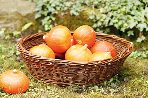 Dekoleidenschaft Füllkorb "Maxi" Erntekorb aus Weide, braun, Ø 50x14 cm, Obstschale, Dekoschale von Dekoleidenschaft