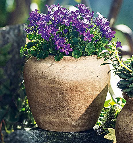 Dekoleidenschaft Pflanztopf Terracotta 16 cm hoch, rustikal, braun, schwere Qualität, Vintage Blumentopf, Übertopf, Pflanzgefäß, Garten-Deko für Draußen von Dekoleidenschaft