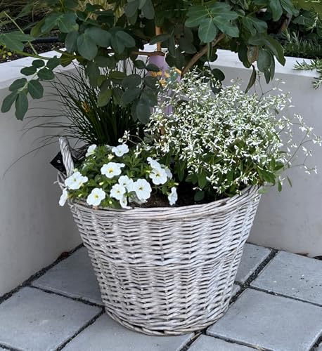 Dekoleidenschaft Rattan Pflanzkorb Rustikal rund, groß, grau, Outdoor Blumentopf, Pflanzkübel, Pflanztopf für Draußen, Blumenkübel, Blumenkasten, Pflanzkasten (Ø 40x30 cm) von Dekoleidenschaft