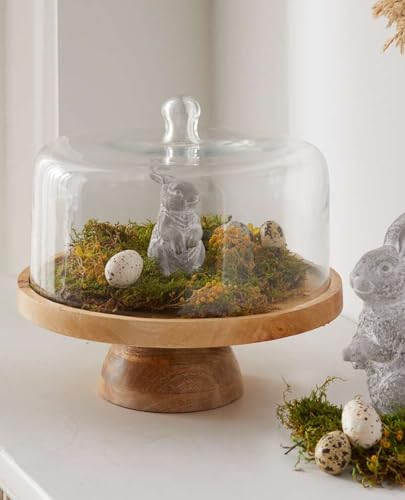 Dekoleidenschaft Servierplatte Rund aus Mangoholz mit Haube aus Glas, Käseglocke, Holzteller mit Glasglocke, Servierbrett von Dekoleidenschaft