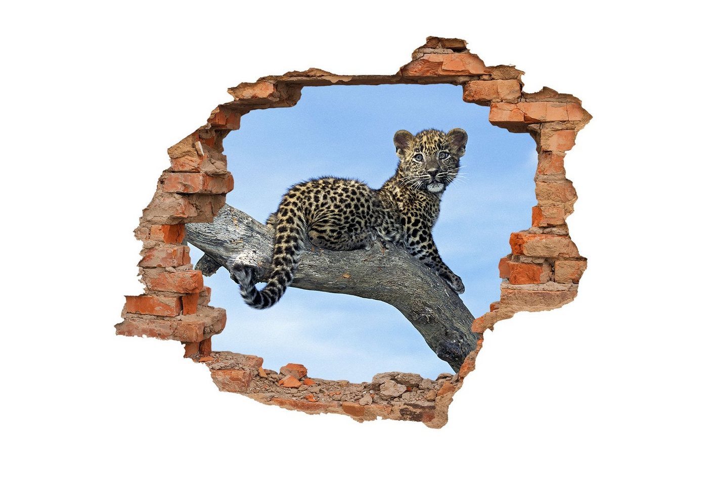 WallSpirit Wandtattoo Wanddurchbruch Leopardenbaby", Selbstklebend, rückstandslos abziehbar" von WallSpirit