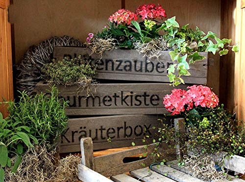 Dekorie Blumenkasten aus massiven Holz mit (Blütenzauber) Schriftzug - Farbe: Braun - Maße (HxBxT): 12 cm x 60 cm x 15 cm - hübsche Blumenkisten für Balkon, Garten oder im Haus von Dekorie
