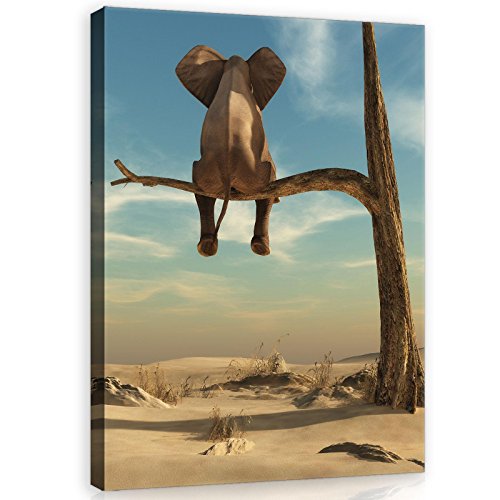DekoShop Leinwandbild Canvas Wandbild Kunstdruck Elefant auf dem Baum AMDPP11898O6 O6 (80cm. x 60cm.) von Dekoshop