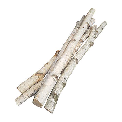 5 Birkenäste | weißer Aste | 50 cm lang u. 3-5 cm breit | Natur-Deko für Bodenvasen | Tisch-Deko mit Birkenzweigen von Dekozweig