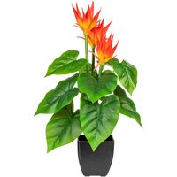 DELAVITA Kunstpflanze "Warnow" im Topf DELAVITA Kunstpflanze "Warnow" im Topf von Delavita