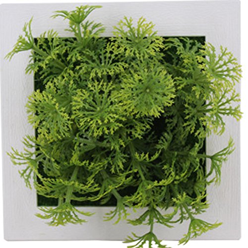 DELIBEST 3D Simulation Sukkulenten Blume Rahmen Wand Simulation Pflanze Foto Rahmen Simulation Blume Wand Dekoration Wand Simulation Sukkulenten Blume (3A) von DeliBest