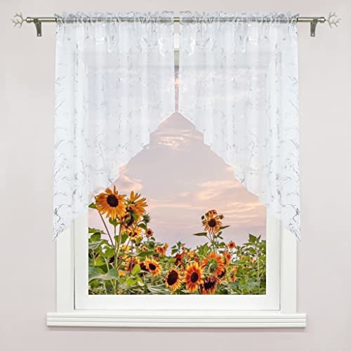 Delien 2er Set Voile Scheibengardine mit Durchstangenzug Bistrogardinen Modern Türgardine Küche Kurz Stores Einzelschicht Gardinen Kleinfenster mit Kräuselband/Tunnelzug BxH 80x80cm*2,Weiß Delien 2er Set Voile Scheibengardine mit Durchstangenzug Bistrogardinen Modern Türgardine Küche Kurz Stores Einzelschicht Gardinen Kleinfenster mit Kräuselband/Tunnelzug BxH 80x80cm*2,Weiß von Delien
