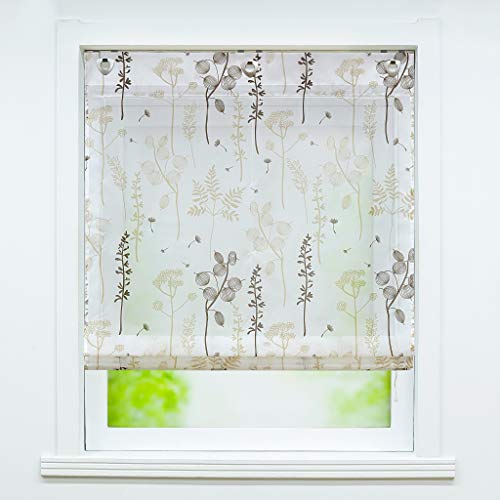 Delien Voile Raffrollo ohne Bohren mit Ösen Transparente Gardine Raffgardine Kurz Rolls Küche Vorhang »Laternenblume« Ösenrollo Schals Modern Fenstergardinen BxH 80x140cm,Sand von Delien