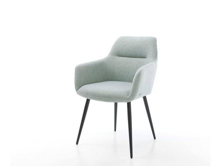 Armlehnstuhl Pejo-Flex Stripes Mint 4-Fuß konisch Schwarz, Esszimmerstühle Armlehnstuhl Pejo-Flex Stripes Mint 4-Fuß konisch Schwarz, Esszimmerstühle von Delife
