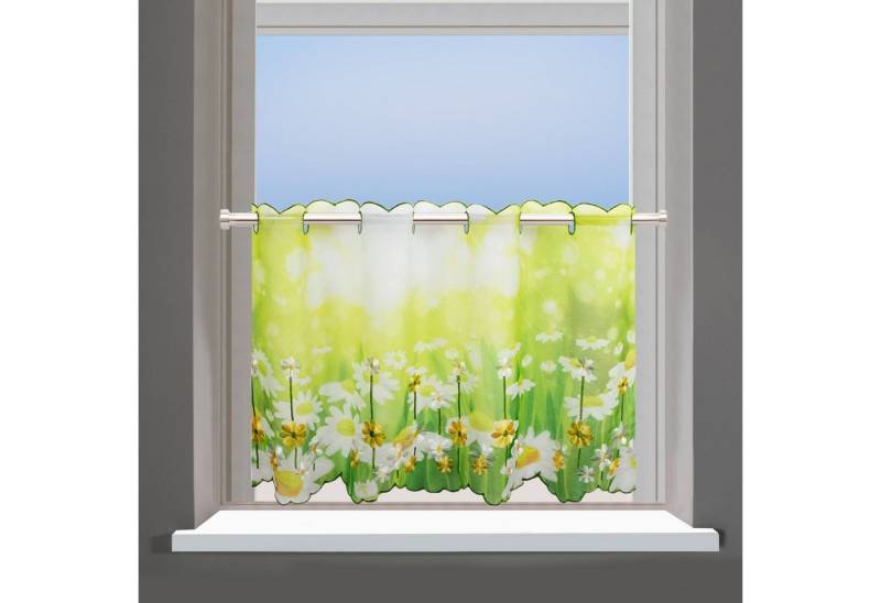 Delindo Lifestyle Scheibengardine Margeriten, Stangendurchzug (1 St), transparent, Voile, zwei Größen von Delindo Lifestyle