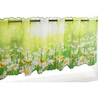 Delindo Lifestyle Scheibengardine "Margeriten" Stangendurchzug 1 Stk. tlg. zwei Größen von Delindo Lifestyle