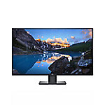 DELL 107,9 cm (42,5 Zoll) LCD Monitor IPS U4320Q von Dell