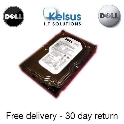 DELL 146 GB HDD 10 K SAS 6,35 cm HM407 IN ORIGINAL Duschkorb - komplett abgenommen (HD26) (Generalüberholt) von Dell