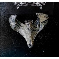 Auffliegender Flughund Magnet, Resin Skulptur | Mythisch Fantasy Dekor Vampir-Fledermaus Magnet Für Und Gothic Dekoration Auffliegender Flughund Magnet, Resin Skulptur | Mythisch Fantasy Dekor Vampir-Fledermaus Magnet Für Und Gothic Dekoration von Dellamorteco