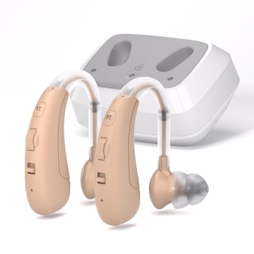 Delmicure Wireless Soundgerät mit intelligenter Geräuschunterdrückung, 4 Modi und einstellbarer Lautstärke, Packung mit 2 Einheiten von Delmicure