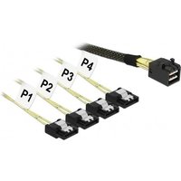 DeLOCK Kabel Mini SAS HD SFF-8643 zu SATA 7 0,5m von Delock