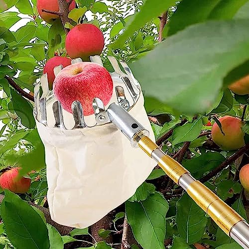 Obstpflücker-Werkzeug, Obstpflück-erntemaschine Mit Ausziehbarer Teleskopstange Und Rutschfestem Griff, Obstpflückausrüstung Für Die Ernte Von Birnen, Zitronen Und Orangen Obstpflücker-Werkzeug, Obstpflück-erntemaschine Mit Ausziehbarer Teleskopstange Und Rutschfestem Griff, Obstpflückausrüstung Für Die Ernte Von Birnen, Zitronen Und Orangen von Delorm