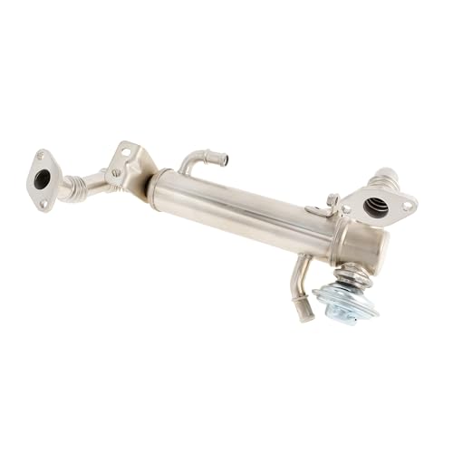 Delphi Technologies EG10582-12B1 AGR-Ventil von Delphi